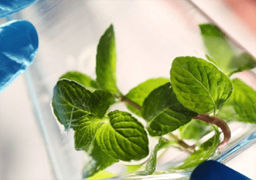 An industry first! The company's unique bio-based formula